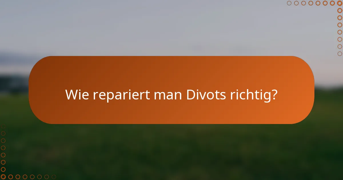 Wie repariert man Divots richtig?